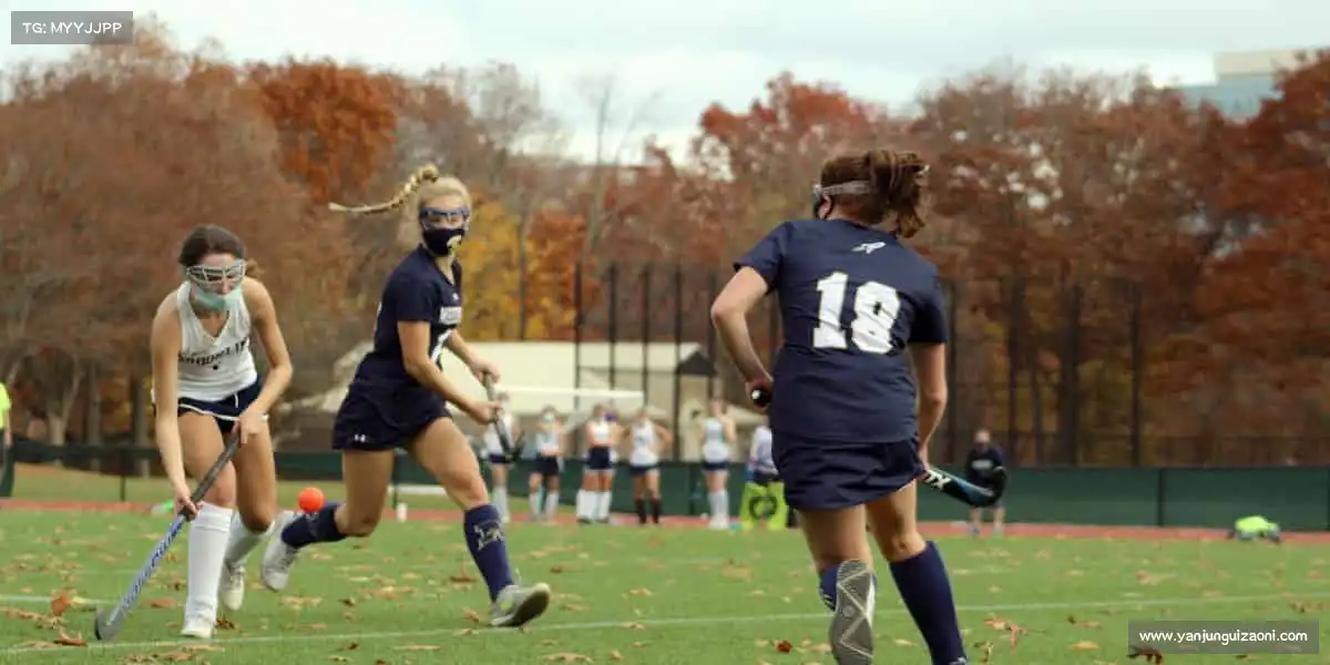 行业领先的理由